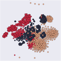 Natural images cluster together by texture in an unsupervised autoencoder